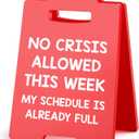 Funny Office Desk Decor Boss Sign Employee Appreciation Gifts Administrative Professional Day Gifts Bulk, Assistant Principal Appreciation Gifts for Manager Supervisor Teacher Cubicle Decor Red Sign