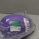 Jolly Pets Jolly Egg Dog Toy, 12 Inches/Large, Purple