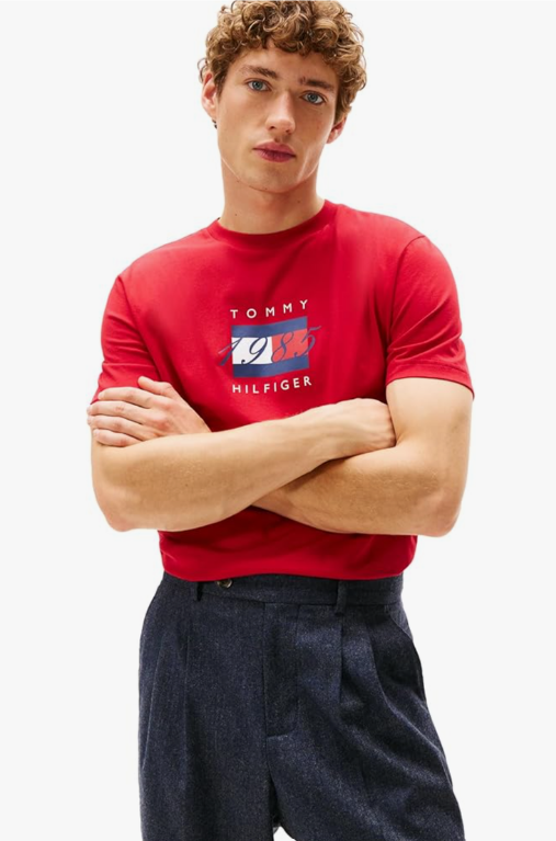 Tommy Hilfiger Mens Short Sleeve Cotton Graphic T-Shirts with Printed Linear Flag Logo Designs L