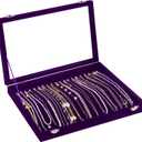 Jenseits Necklace Holder Jewelry Organizer Box, Dustproof Velvet Necklace Tray Jewelry Display With Clear Lid, Preppy Jewelry Holder, Long Necklaces Pendants Organizer, Gifts For Women Girls - Purple