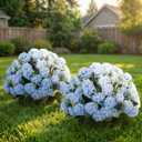 Suncalla 2 Set Blue Artificial Boxwood Topiary Ball Trees with Hydrangea Flower, 19.7" UV Resistant Outdoor Faux Plants with Ground Spike for Planter Front Door Home Indoor Porch Patio Decor