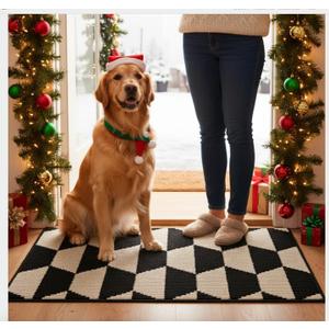 GRANNY SAYS Indoor Doormat, 24" x 36", Non-Slip Front Door Mats, Outdoor Welcome Mat Washable, Low Profile Indoor Door Mats for Entryway, Floor Inside Back Doormats (Black/Tan)