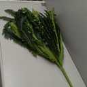 FOREST PRINCE 35" Ferns Artificial Bush Plants Large, Artificial Boston Ferns with 39 Fronds for Outdoors Home Decor
