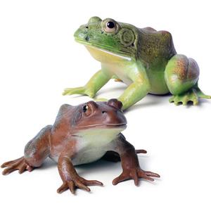 Realistic Tree Frog Figure Plastic Hand Painted Bullfrog Figurine Educational Rubber Animal Model Toys for Kids Children (Green and Brown)