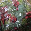 Small Christmas Wreath - 2Pcs Mini Wreaths with Red Berry Pine Eucalyptus for Kitchen Window Decor Small Farmhouse Wreaths Garland for Indoor Home Cabinet Decorations