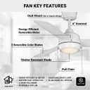 Wynwood 44-inch Connie Indoor Ceiling Fans with Lights, Pull Chain, Matte White, 3-Blade, Frosted White Shade [W58356]