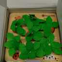 Wooden Carrot Harvest Montessori Toy for Toddlers 1-3, Shape Sorter Sensory Learning Toy for 1 2 3 Year Old, Fine Motor Skills Size Matching Educational Toy for Boys Girls, Birthday Gift