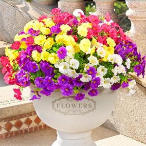 Artificial Flowers for Outdoors, 14 Bundles Fake Outdoor Flowers, UV Resistant Artificial Outdoor Plants & Flowers for Decoration, Colorful Morning Glory for Garden Porch Yard Patio, Mixed Color A (Purple, Rose Red, White & Yellow)
