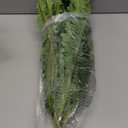 Artificial Boston Fern Bush- Set of 2 Large Artificial Ferns for Outdoors, 45Inch Large Faux Ferns, Suitable for Office & Living Room Decor, 55Branches for Each Bouquet