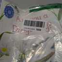 Are you a dragon fly book, Paperback