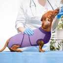 Kuoser Recovery Suit for Dogs After Surgery, Soft Dog Surgery Suit Female Male, Breathable Pet Surgical Recovery Shirt, Anti Licking Dog Onesie for Abdominal Wounds Cone Alternatives, Purple XL
