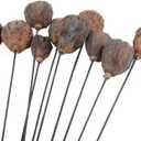 NWFashion 10PCS Artificial Dried Brwon Lotus Pods with Stems (3-5CM)