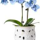 LE TAUCI Ceramic Orchid Pot, 6.5 Inch Orchid Pots with Holes, Orchid Planter for Repotting, Indoor Flower Plant Pot with Drainage and Saucer, Arctic White