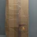 InCharacter Costumes Women's Dark Angel's Desire (Medium)