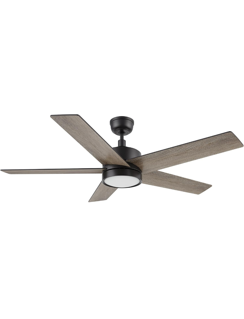Modern Ceiling Fan with Remote for Living Room Bedroom
