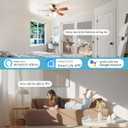 Smart WiFi Ceiling Fan Remote Control Kit, Universal 3 Speed Ceiling Fan Control with Dimmer, Compatible with Alexa, Google Assistant and Smart Life App, Remote Control Timing