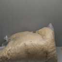 Bear mascot costume, dancing bear costume, giant plush teddy bear costume, Halloween adult size costume, 73 inches