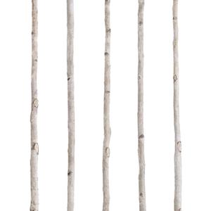 5 Pcs White Birch Poles 4 ft 1-1.5 Inch Diameter Natural Wood Sticks Twigs for Crafts Branches Home Decoration Holiday DIY Creative Projects