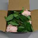 Felice Arts 2 Pack Pink Artificial Rose Garland Each 6.5FT Fake Rose Vine Hanging Floral Garland for Wedding Swing Table Centerpiece Arrangement Decor