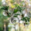 4 x Window Propagation Stations, Oblate Glass Terrariums Planter with Suction Cup Hook, Wall Hanging Planters for Hydroponics Plants, Home, Office, Bathroom, Living Room Decor, Gift for Plant Lovers (4)