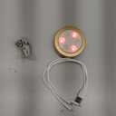 EZVALO Picture Lights for Wall, 2000mAh Rechargeable Battery Magnetic Poster Lights with 3 Color Temps & 12 RGB, Remote Dimmable Timer Painting Light, Wall Decor Light for Art Display, Frame (1 pck) (Gold)