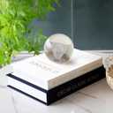 Neatmeat Decorative Books Set with Coffee Table Storage  Faux Books for Bookshelf and Home Decor  Modern Living Room Accent Book Box (Grey-beige)