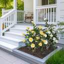 Yepdin 2 pcs Pack Artificial Camellia Tree with White Planter - 39 inch Tall Fake Tree,3.2 Ft Artificial Plants Indoor & Outdoor Housewarming Gift