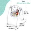 Bright Starts Disney Baby Winnie the Pooh Milestone Baby Swing, Infant