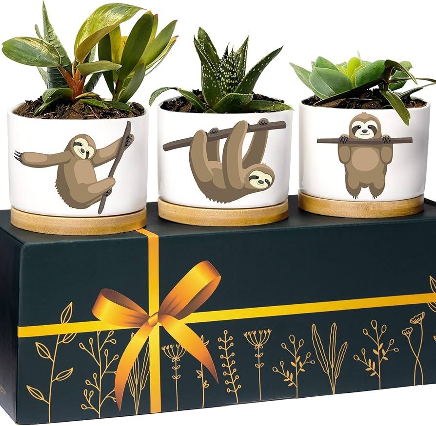 Discontinued Sloth Planters, Unique Decor & Gifts for Women and Men, Thoughtful Premium Quality Sloth Lover Plant Pot, Kitchen Decor, Perfect Planter Gift Set, Ideal Presents for Birthday, Christmas