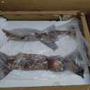 23H Large Antique Bronze Angel Candle Holder Set of 2 Statue Elegant Home Wedding Decor Church Altar Holiday Display Perfect Pair of Heavenly Decorations