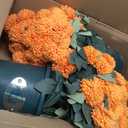 16" Artificial Mums Potted Plant, Faux Fall Chrysanthemum Flowers in Pot for Autumn Decor, Rustic Farmhouse Seasonal Decoration for Front Porch Entryway Indoor Outdoor Use (Orange)