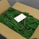 Senjie Christmas Garland Norfolk Pine Garland Real Touch Artificial Greenery Garland for Mantle Fireplace Table Indoor Outdoor Holiday Decortions 6FT 4PCS (6 ft (1 Pack- Young ))