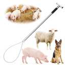 Hog Pig Catcher Pole Holder Dog Catcher Pole Retractable Animal Control Pole Stainless Steel Heavy Duty Catch Pole for Animals Cats Hog Pigs and Small or Medium Dogs