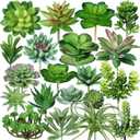 Winlyn 20 Pcs Assorted Artificial Succulents Plants Unpotted Small Green Cactus Echeveria Air Plant Picks Fake Succulents Bulk for Succulent Garden Wreath Floral Arrangement Indoor Outdoor Home Decor