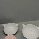 Ceramic Raised Cat BowlTilted Raised Bowl Anti Vomit Bowls for Indoor Cats Whisker Friendly Pet Feeder for Cats Puppies, Microwave and Dishwasher Safe (Pink+Blue)