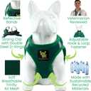 EcoBark Dog Harness - Teacup Dog Harnesses for Dogs - Step in Soft Mini Body Halter - Puppy Harness- Toy Breed Dog Harness Vest Under 5 pounds lbs (XXXS, Forest Green)