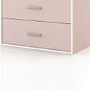 Homes: Inside + Out Apexa 2-Drawer Wooden Stackable Storage Drawers, Small Food Pantry Cabinet, Cajonera De Madera, Underbed Drawer Dorm Teen Room Decor & Bedroom, Home Office, Kitchen, Light Pink