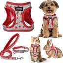 GAMUDA Small Dog Harness Collar and Leash Set, Step in No Chock No Pull Soft Mesh Adjustable Dog Vest Harnesses Plaid Reflective for Dogs Puppy Cats Kitten Rabbit (Red Flower, M) (Medium)