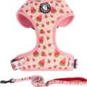 Dog Harness and Leash Set, Adjustable Dog Harness, Dog Leash, No Pull No Choke Puppy Harnesses for Walking Training for Small Medium Pet (M(chest 15.7 - 22.1", Neck 12 - 15"), Watermelon)