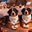 4 x 2 Pack Promoted to Big Brother Dog Bandana Baby Announcement Dogs Bandanas White Pregnancy Announcement Big Brother Bandana for Dog Pet Scarf Accessories for Pet Dog Lovers Gifts