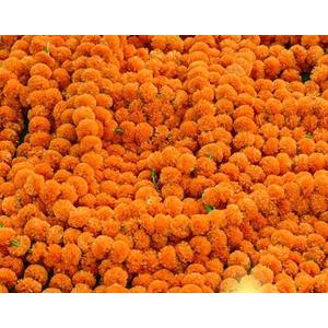 KRATI EXPORTS 5 Feet Indian Marigold Garland for Decoration, Artificial Marigold Flowers for Diwali Halloween Day of Dead, Día de Los Muertos, Indian Wedding Flower Decoration (Orange) 5 PCS