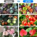LED Grow Lights Strips for Indoor Plants, 3 Working Modes & 10 Dimmable Levels Plant Lights with Auto Cycle Timer 3/9/12Hrs, 36W Full Spectrum DIY Growing Lamps for Seedings Hydroponics, 6 Strips