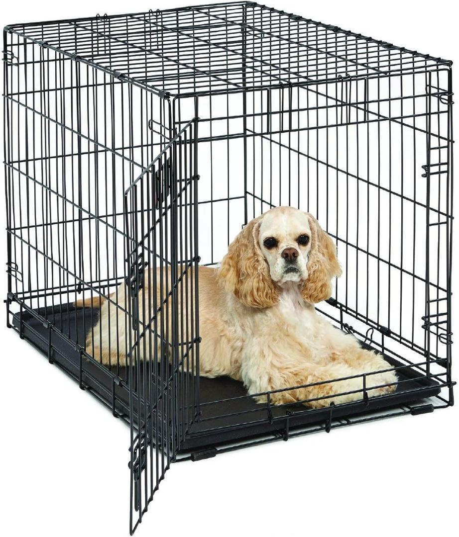 MidWest Homes for Pets Medium Dog Crate | Midwest Life Stages 30' Folding Metal Divider Panel,Floor Protecting Feet,Plastic Tray 30L x 19W 21H Inches,Breed (Black)