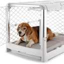 DIGGS Revol Collapsible Dog Crate with Wheels - Premium Portable Dog Crate - Safe, Stylish, and Convenient Indoor Kennel (Ash, Medium) (Medium (34.6"L x 22.9"W x 23.8"H))