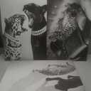 3 Pcs Black and White Cheetah Canvas Wall Art (24Lx16W-Canvas)
