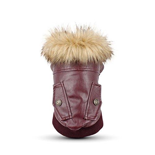 LESYPET Dog Leather Jacket for Small Dogs, Waterproof Dog Winter Jacket Puppy Coat with Fleece Lined, Ultra Warm Fur Collar Doggie Coat, Red M