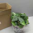 alyptus Fake Pothos Hanging Plants 33" Set of 2 Faux Ivy Vines with Pots Realistic Silk Devils Ivy for Indoor Dcor Low Maintenance Artificial House Plants for Home Bathroom or Office - Green