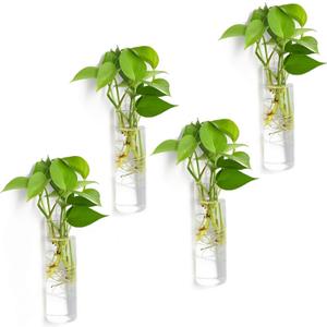 4 Pack Glass Planters, Clear, 5.9 in H x 1.85 in D, Suitable for Most Water Plants, Perfect for DIY Propagation Station, Easy to Install, Elegant and Functional