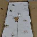 ECCPP 513288 2PCS Front/Rear Wheel Hub Bearing Assembly 5 Lugs w/ABS for 2010-2016 for Cadillac XTS ONLY Front, CTS, for Buick Allure, Regal, Lacrosse, for Chevy Malibu, Impala, Equinox