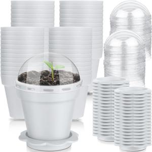 Domensi 80 Pcs 3 Cupcake Plant Nursery Pots with Humidity Dome and Saucer Small Plastic Gardening Pot Plant Containers Cups Seedling Planter Seed Starter Pots for Flower Succulent Indoor (White)